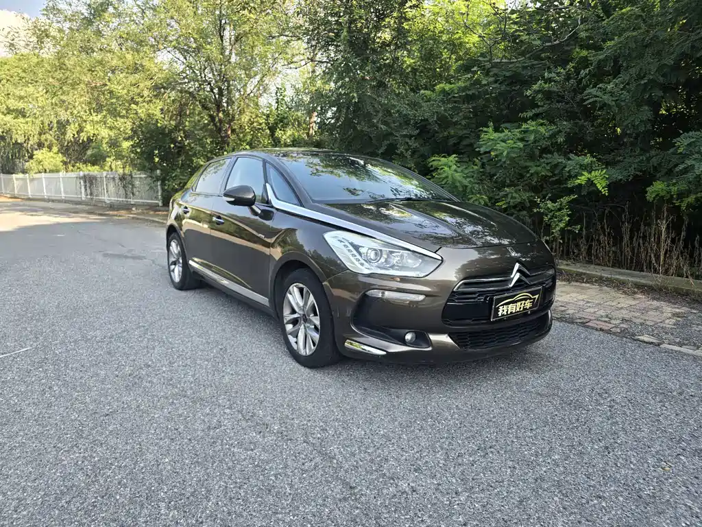 DS 5 1.6T Luxury Edition THP160, фото 3
