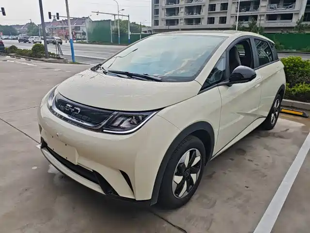 2026 BYD Dolphin
