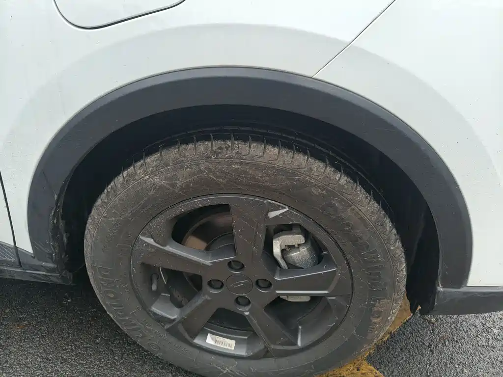 GEELY GEOMETRY E FIREFLY