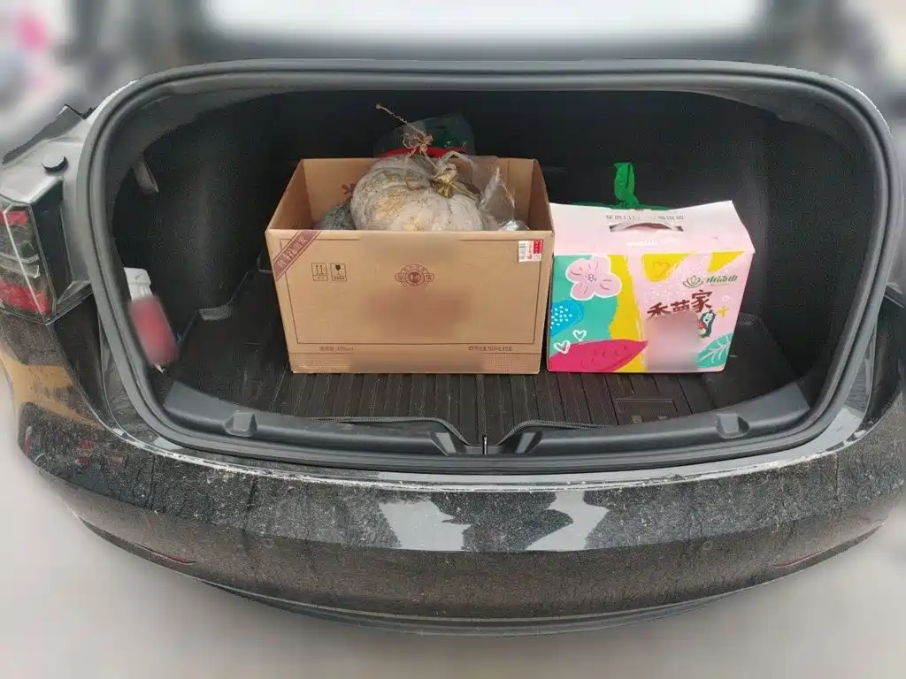 Tesla Model 3 — миниатюра 20