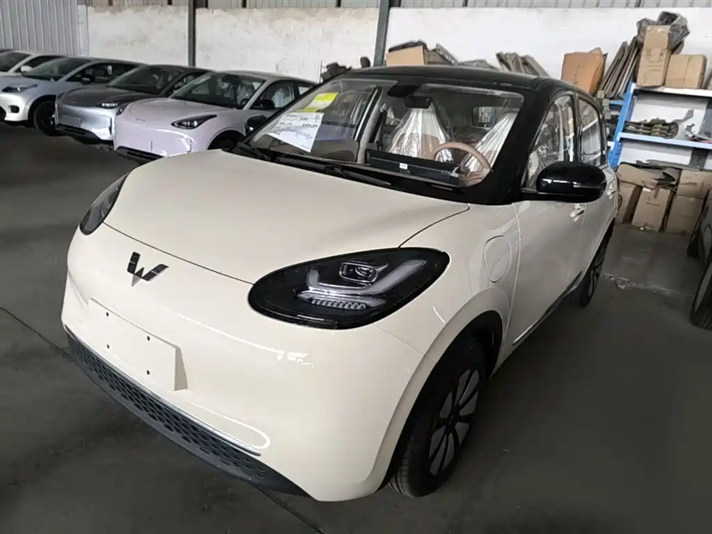 Wuling Binguo 2025 333km Enjoy