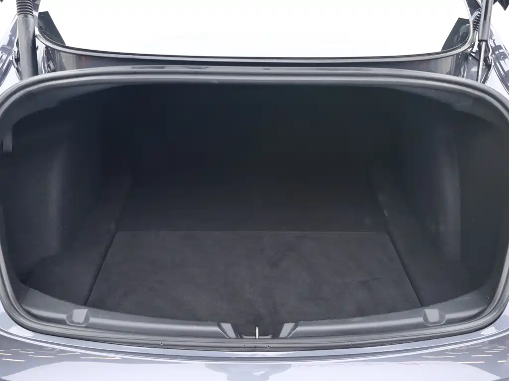 Tesla Model 3 — миниатюра 19