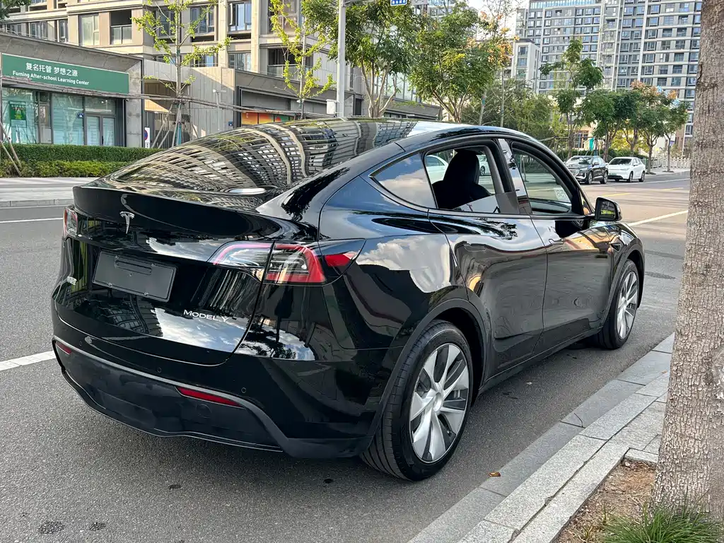 Tesla Model Y — миниатюра 14