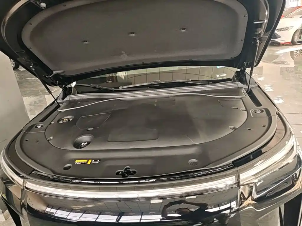 GAC Motor Trumpchi Xiangwang S9 — миниатюра 20