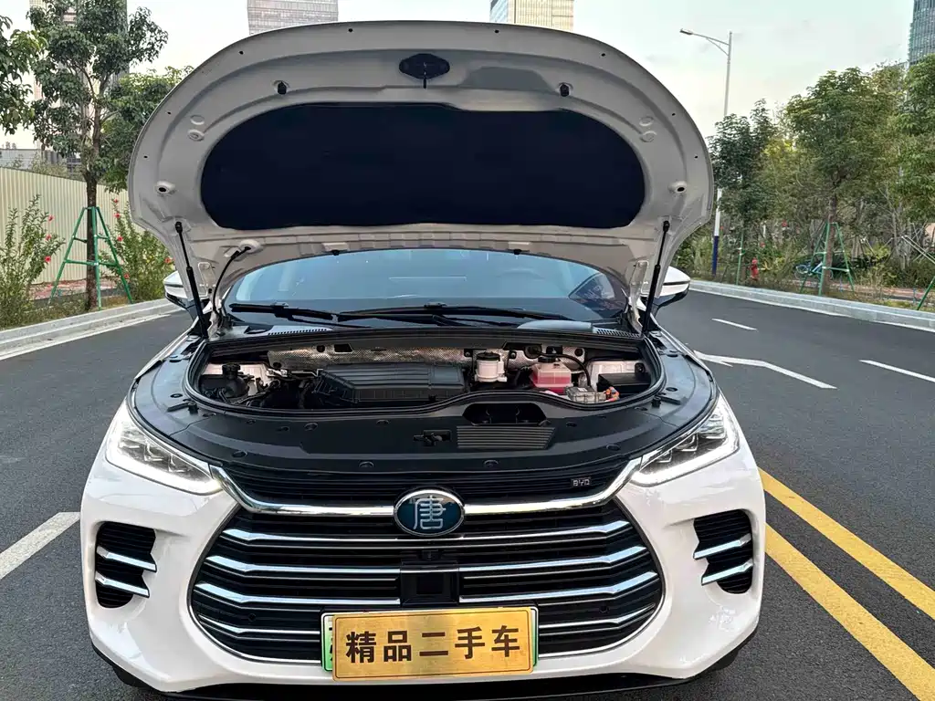 BYD Tang New Energy — миниатюра 31