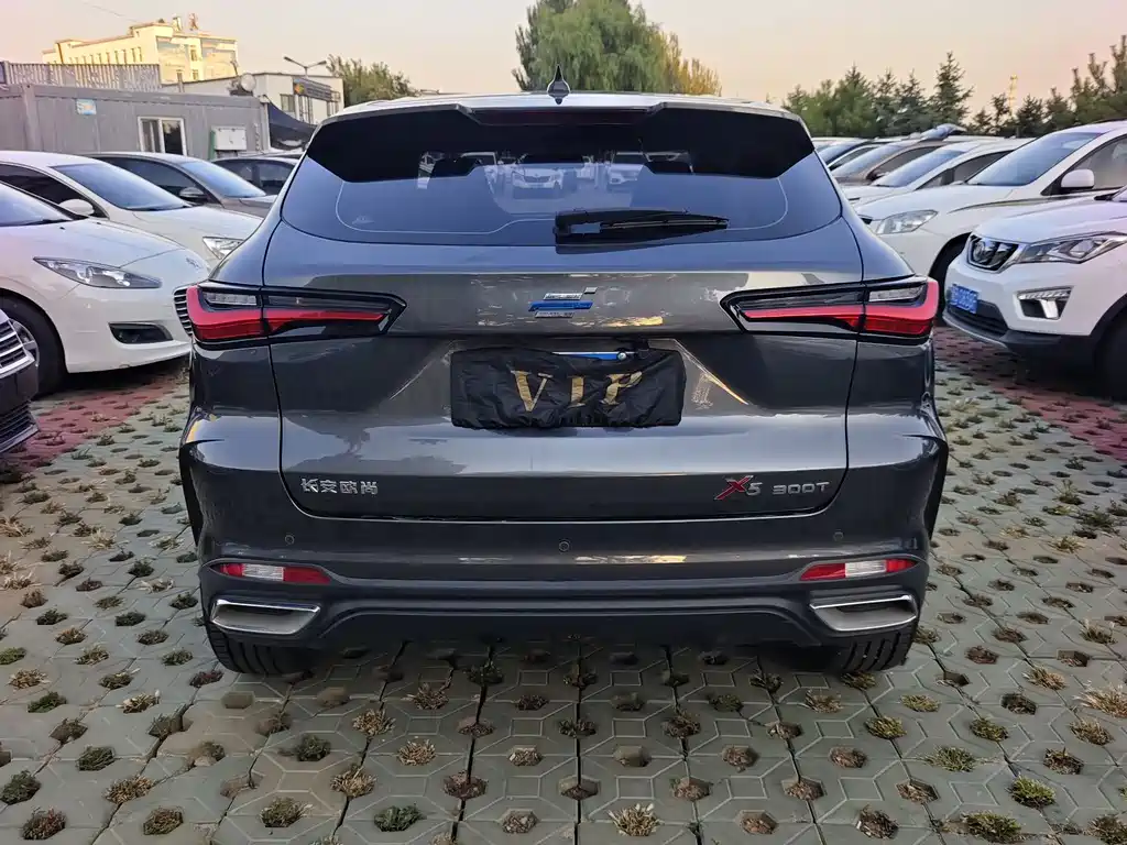 Oshan Oushang X5 — миниатюра 8