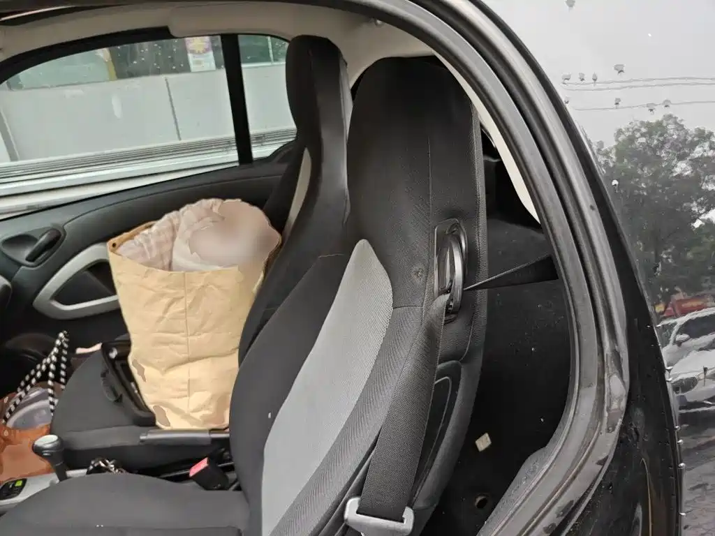 smart Smart Fortwo — миниатюра 15