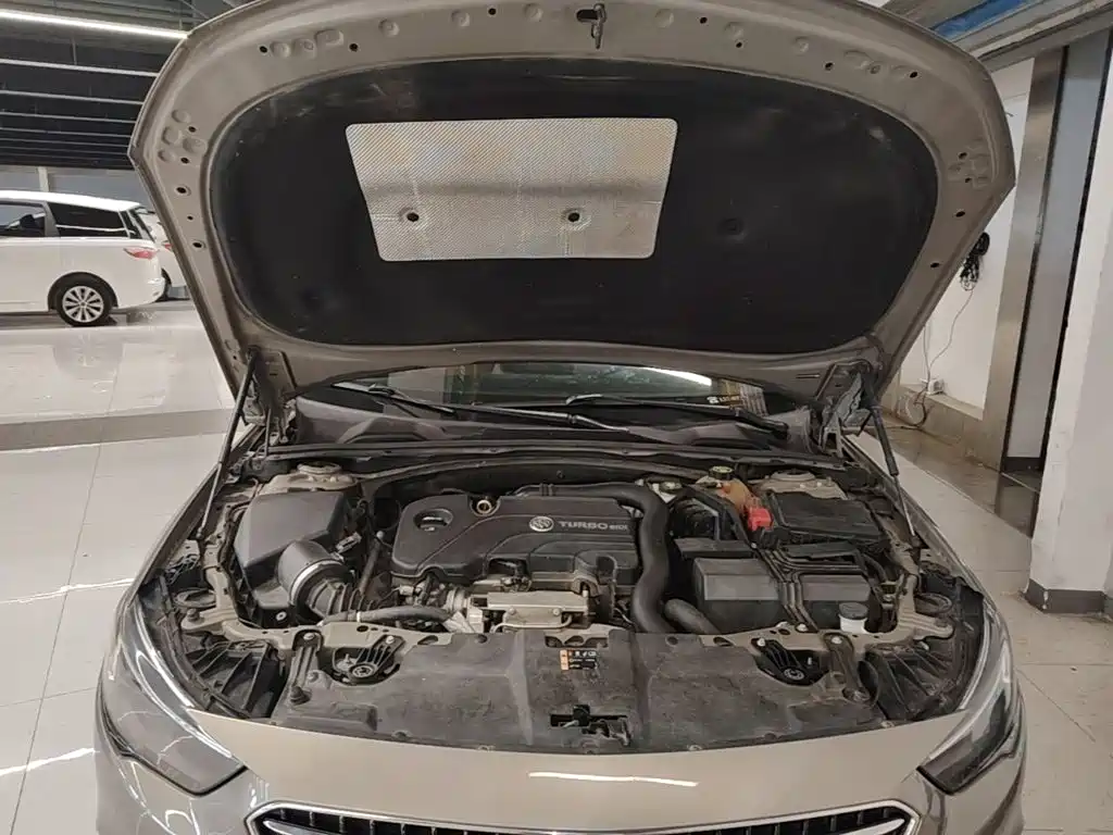 Buick Regal — миниатюра 20
