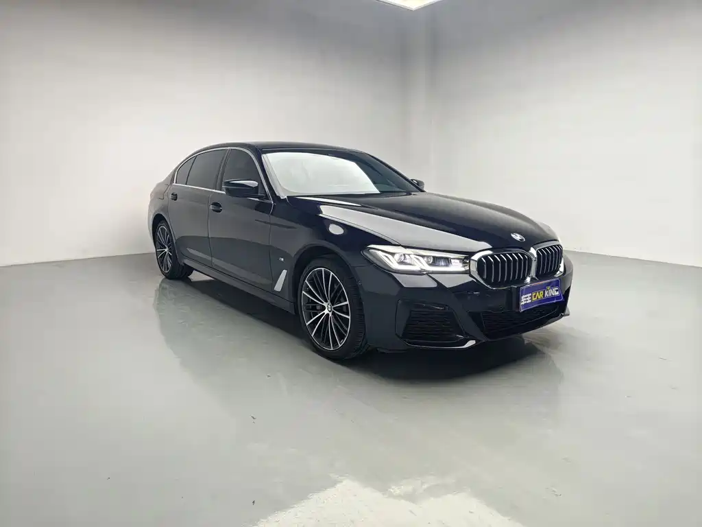BMW 5 Series — миниатюра 2