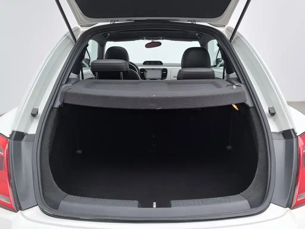 Volkswagen Beetle — миниатюра 16