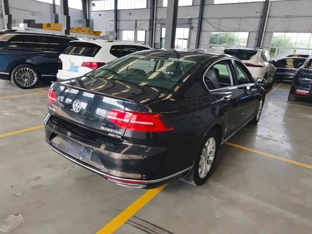 Volkswagen Magotan 2018 330TSI DSG Luxury