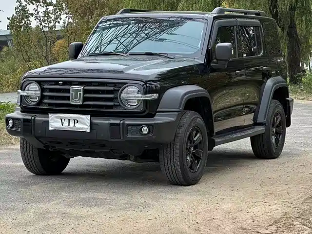 Tank 300