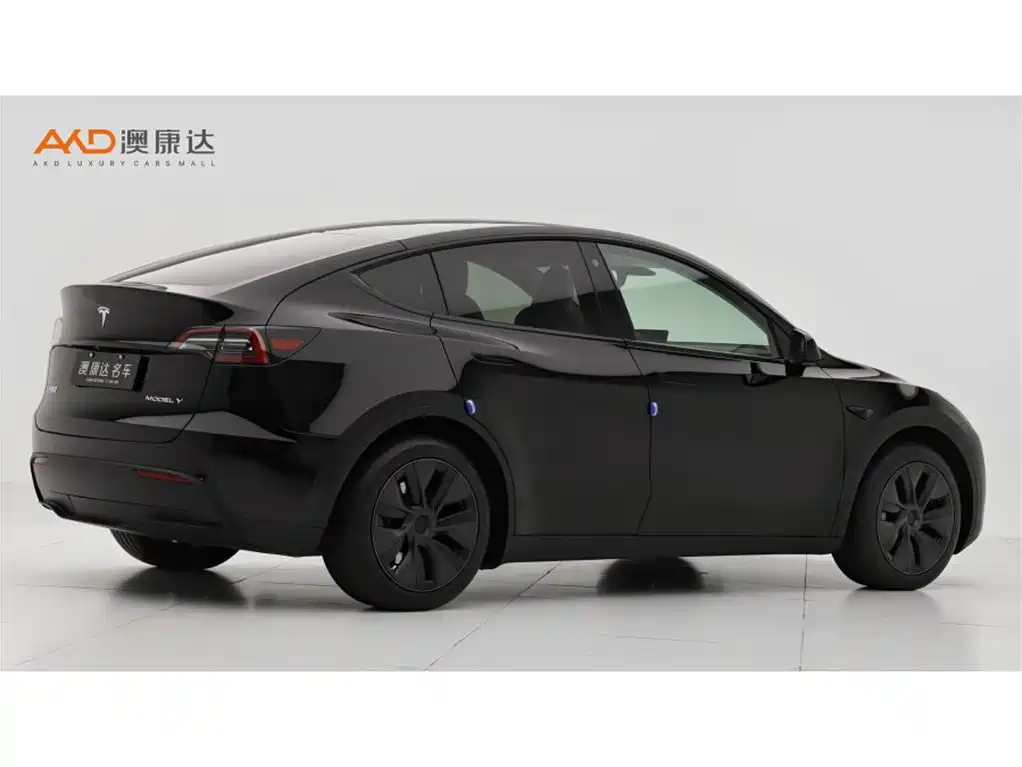 Tesla Model Y — миниатюра 3