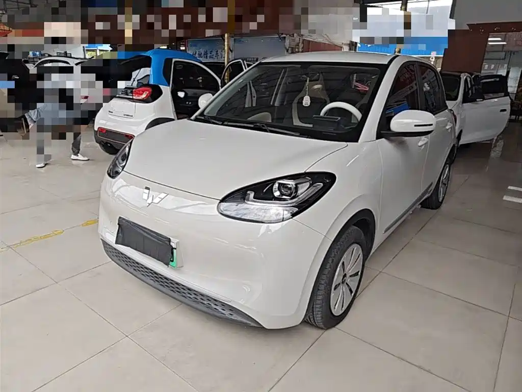 Wuling Bingo 2024