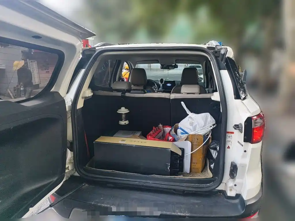 Ford Ecosport — миниатюра 20