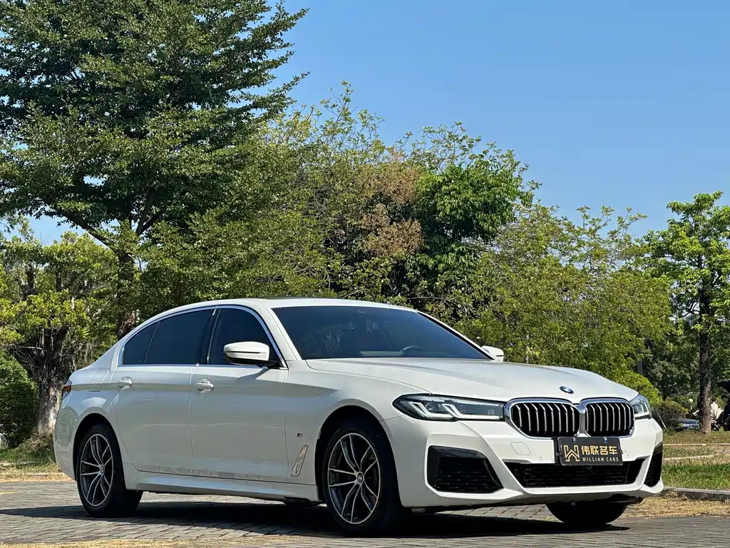 BMW 5 Series — миниатюра 3