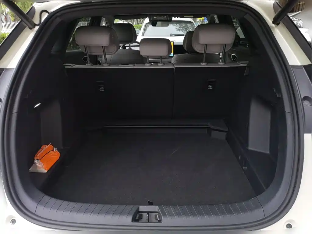 BYD Sealion 06 — миниатюра 20