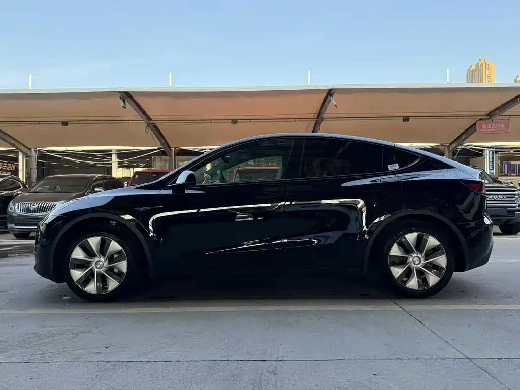 Tesla Model Y — миниатюра 9