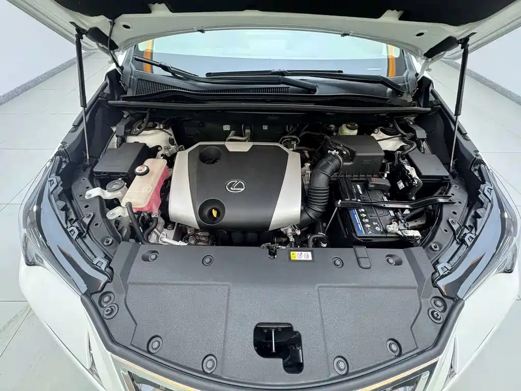 Lexus NX — миниатюра 10