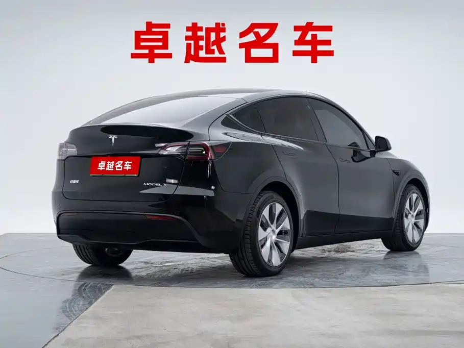 Tesla Model Y — миниатюра 2