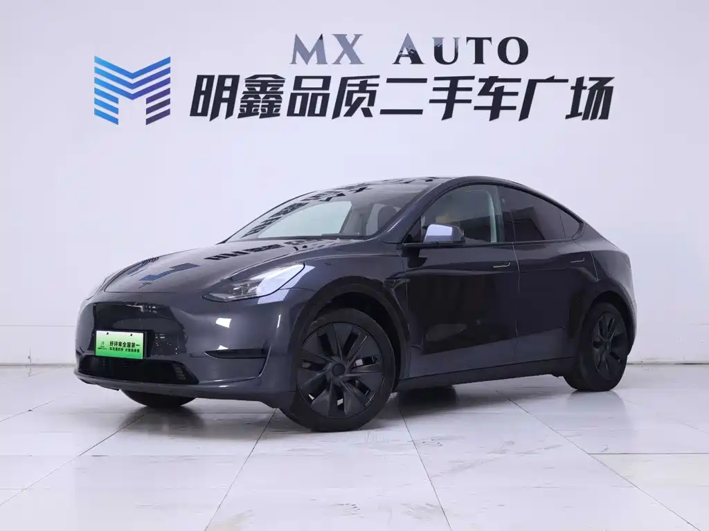 Tesla Model Y — миниатюра 2