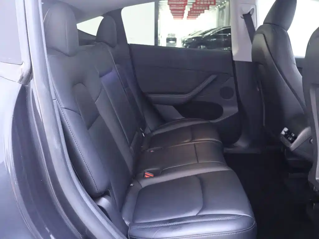 Tesla Model Y — миниатюра 22
