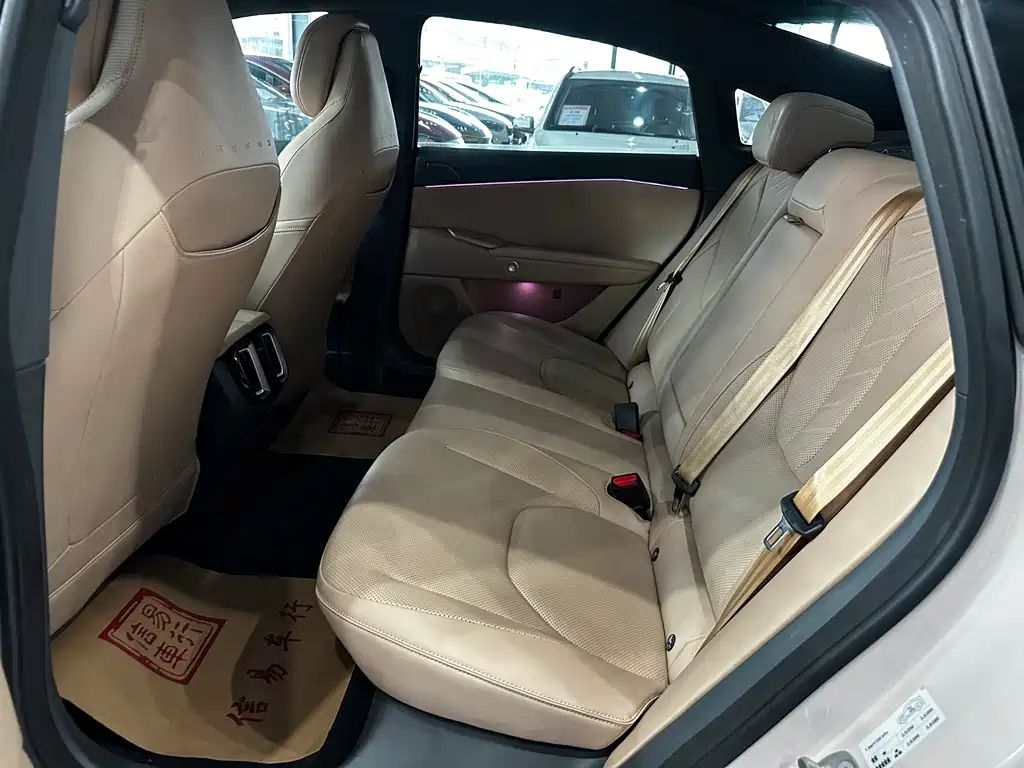 ARCFOX EXTREME FOX POLAR FOX ALPHA S5