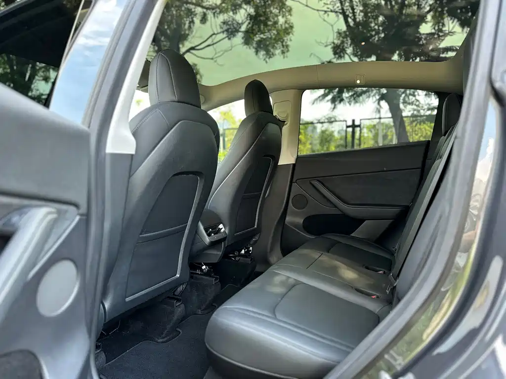 Tesla Model Y — миниатюра 12
