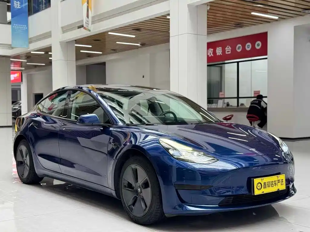 Tesla Model 3 2021 3D6