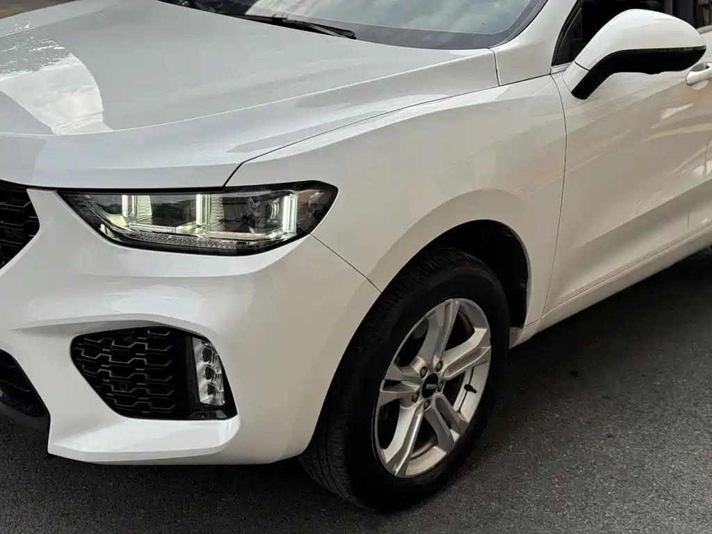 WEI PAI WEI BRAND VV5