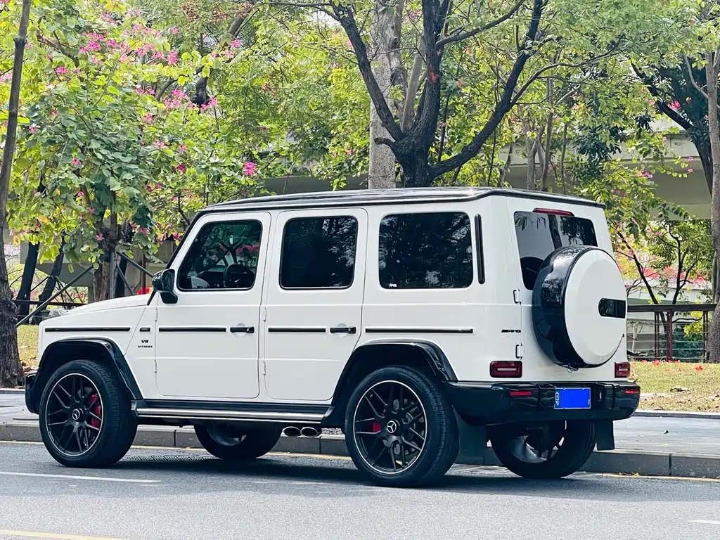 MERCEDES-BENZ G CLASS