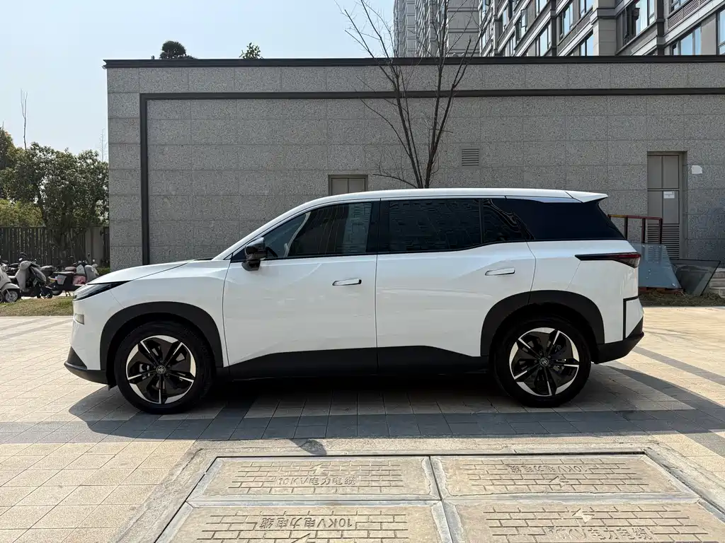 TOYOTA PLATINUM WISDOM 3X