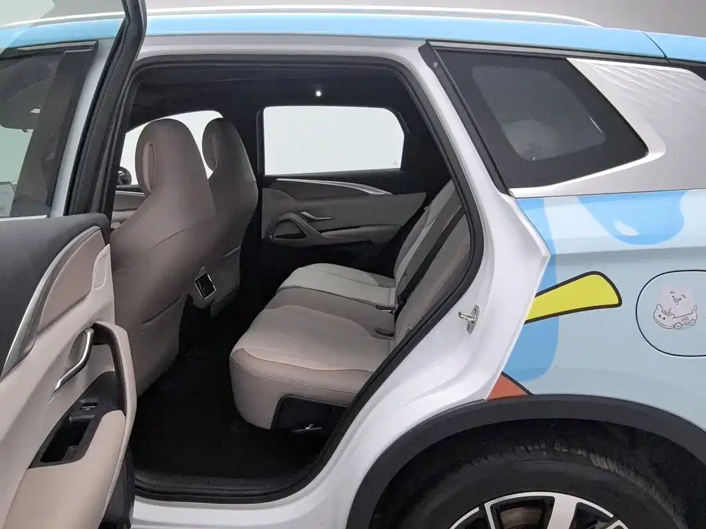 BYD Pro New Energy — миниатюра 15
