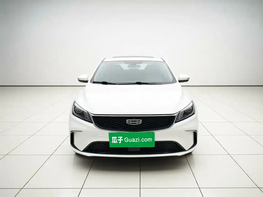 Geely Binrui — миниатюра 2