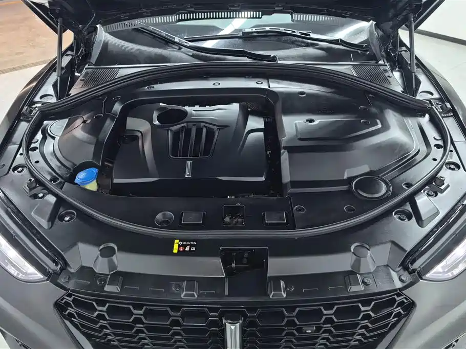 WEI PAI WEI BRAND VV7