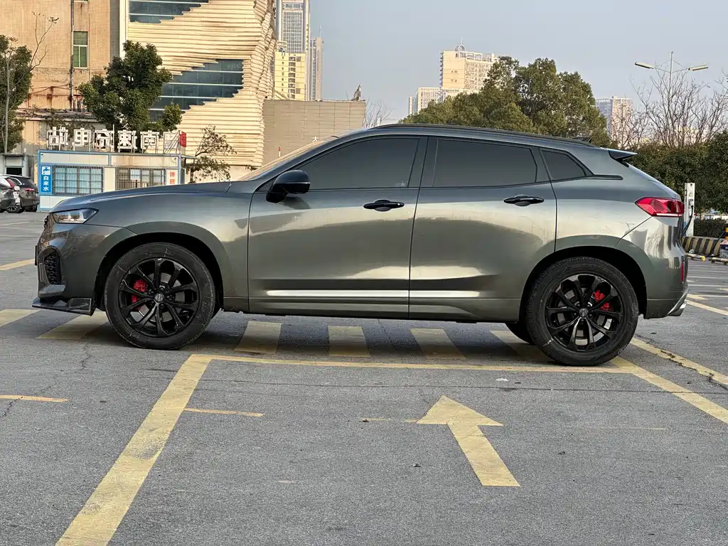 WEI PAI WEI BRAND VV7