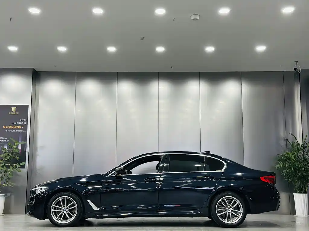 BMW 5 SERIES