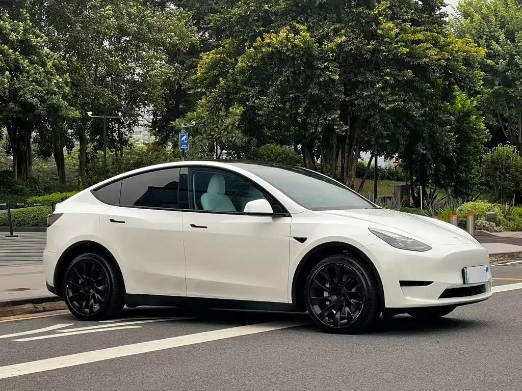 Tesla Model Y — миниатюра 3