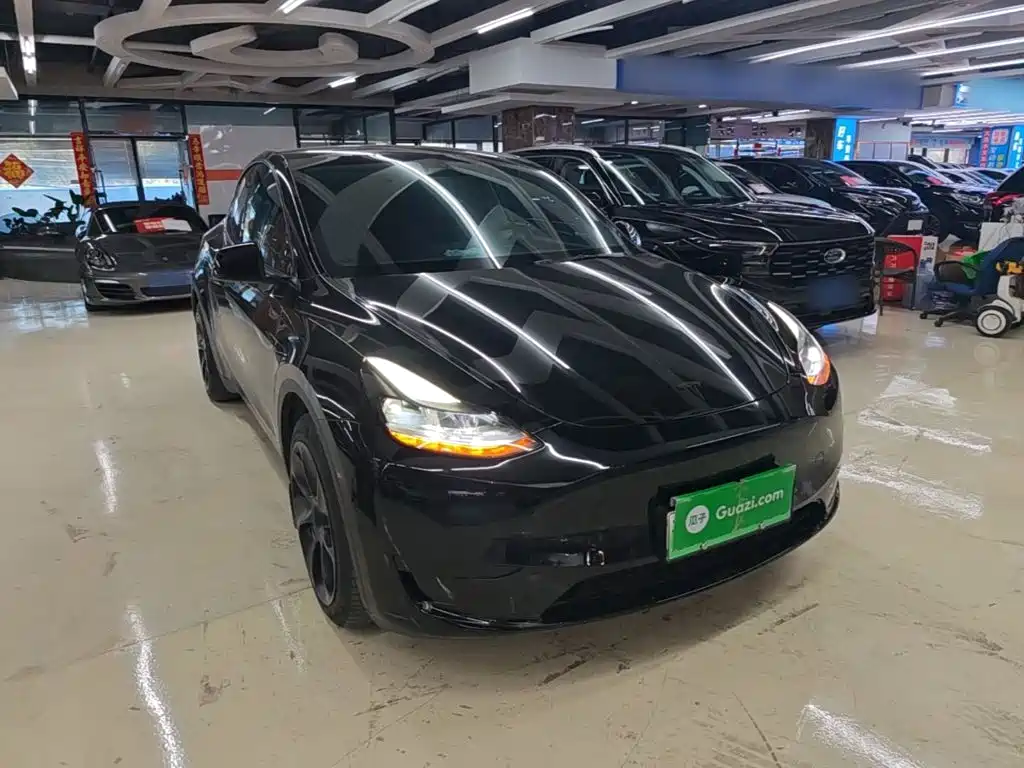 Tesla Model Y — миниатюра 4