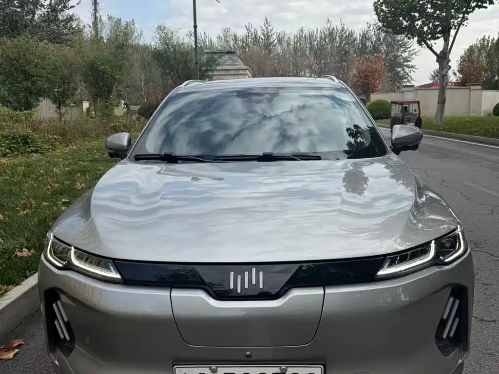 WM Motor EX6 — миниатюра 9