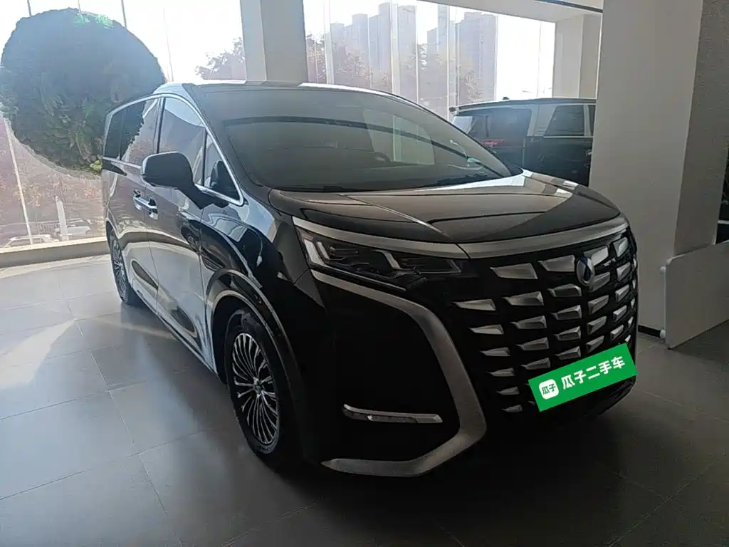 Denza Denza D9 — миниатюра 4