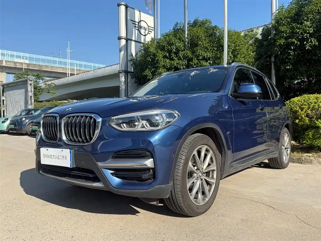 BMW X3 2019 xDrive25i Luxury