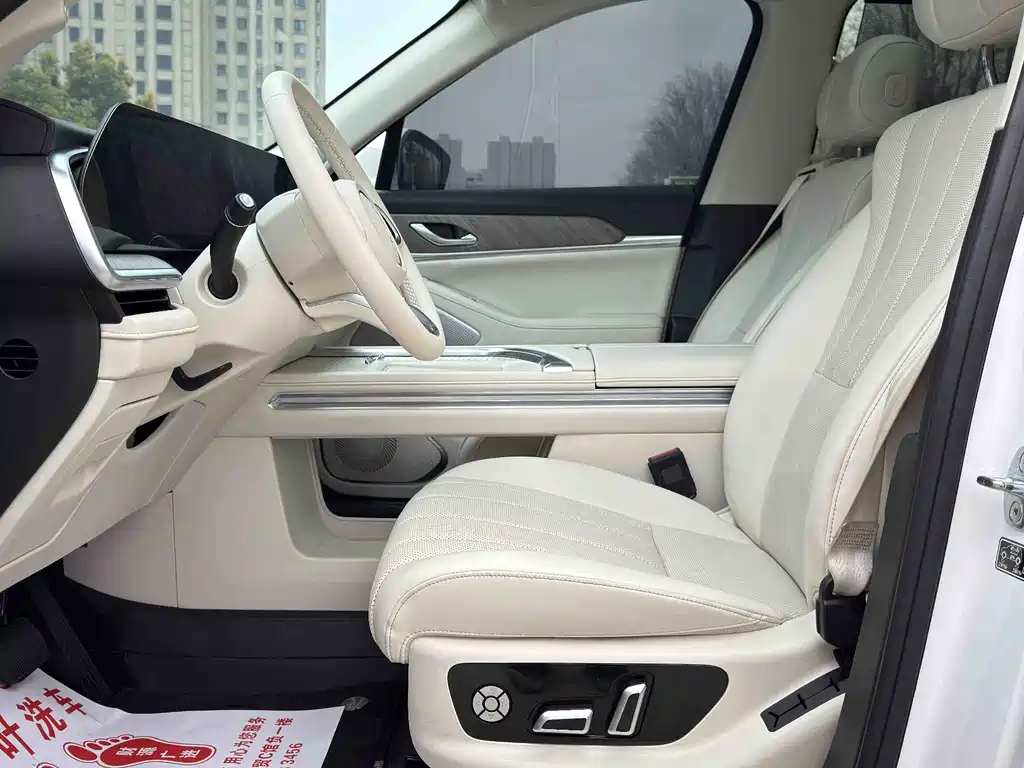 WEI PAI WEI BRAND BLUE MOUNTAIN