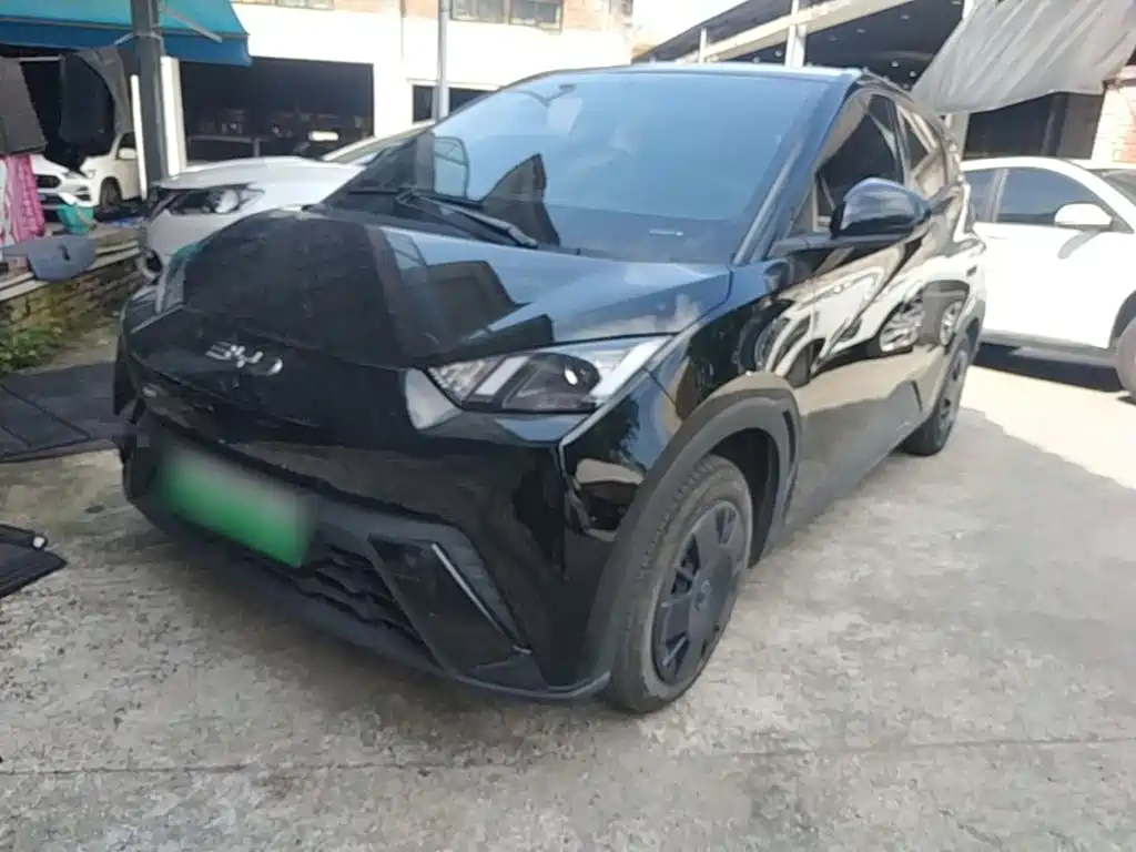 BYD Seagull