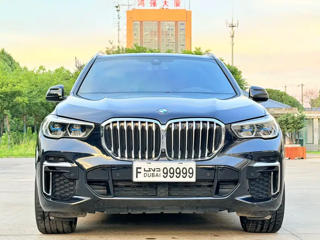 BMW X5 2022 xDrive 40Li M Sport