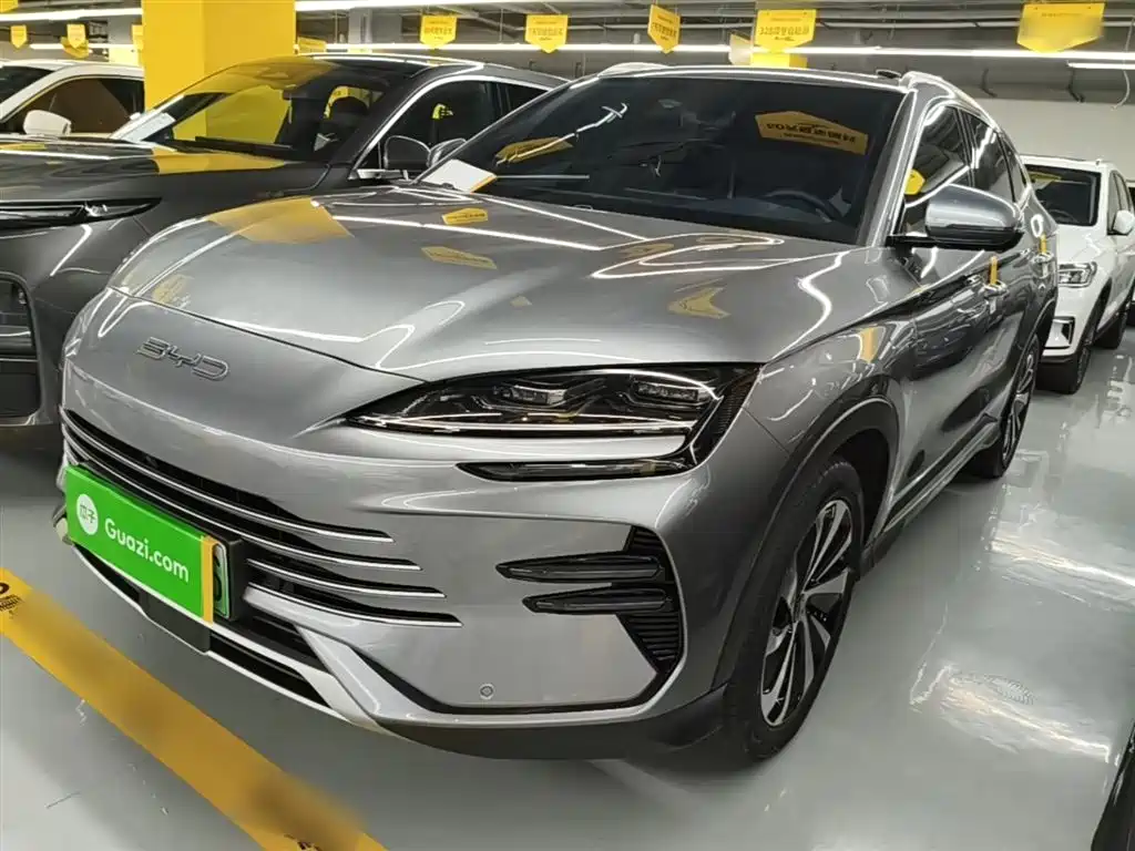 Byd PLUS New Energy 2024