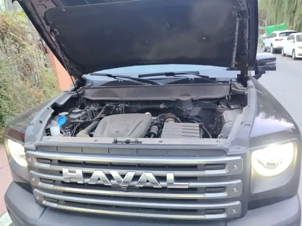 Haval Menglong New Energy — миниатюра 21