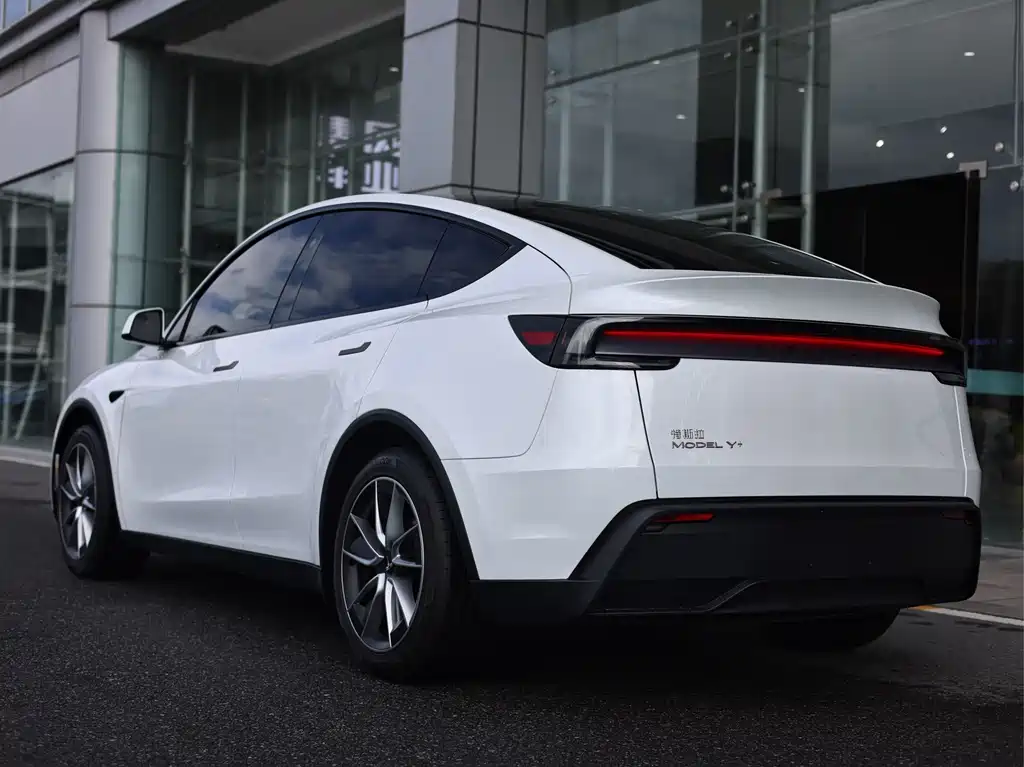 Tesla Model Y — миниатюра 6