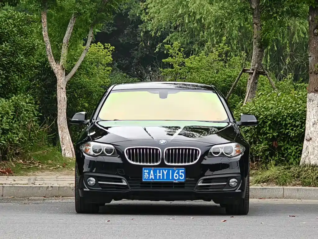 BMW 5 Series 5 2017 525Li Luxury