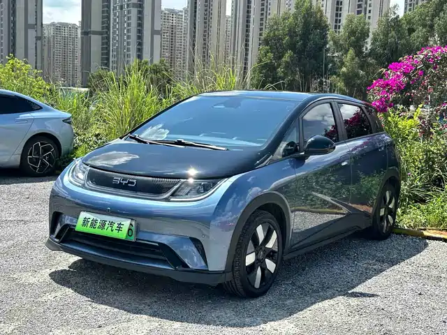 2024 BYD Dolphin